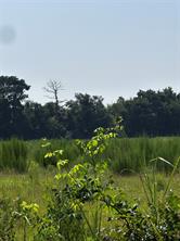001 Fm-144 - Photo 3