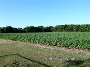 TBD Fm 744 - Photo 2