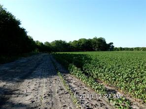 TBD Fm 744 - Photo 6