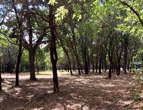 057 Blackjack Parkway - Photo 2