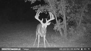 000 Fm-2383 - Photo 20