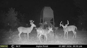 000 Fm-2383 - Photo 21