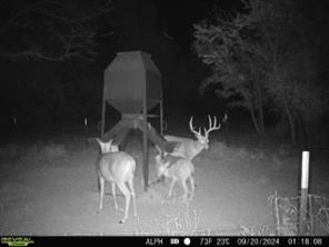 000 Fm-2383 - Photo 22