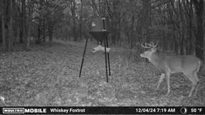 000 Fm-2383 - Photo 24