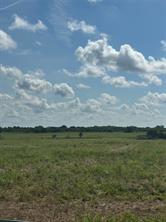 Tract 2 County Road 3430 - Photo 3