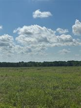 Tract 2 County Road 3430 - Photo 4