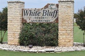 19066 White Bluff Drive - Photo 15