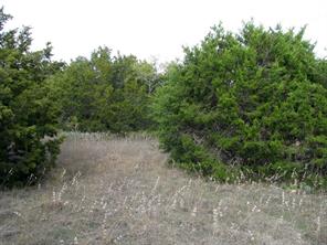 Lot 140 Ph 6 County Road 421 - Photo 10