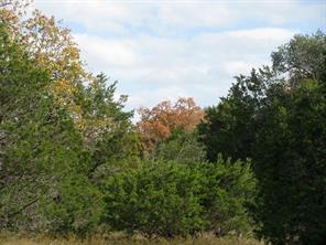 Lot 140 Ph 6 County Road 421 - Photo 18
