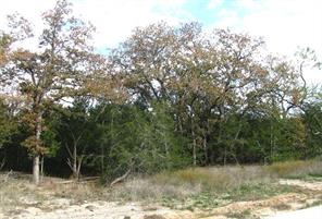 Lot 140 Ph 6 County Road 421 - Photo 22