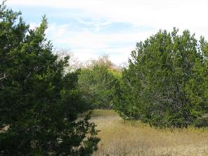 Lot 140 Ph 6 County Road 421 - Photo 3