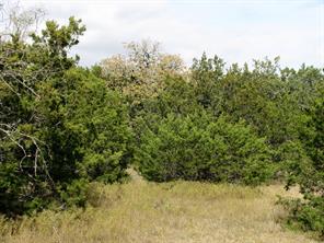 Lot 140 Ph 6 County Road 421 - Photo 5