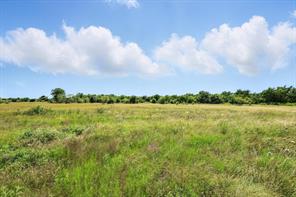 Lot 42 Longview Creek Trail - Photo 3