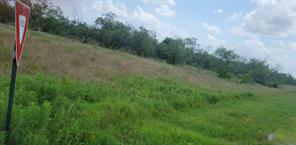 Lot 118 Palmito Rnch Road - Photo 4