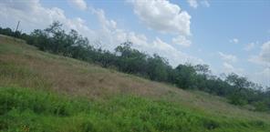 Lot 118 Palmito Rnch Road - Photo 6