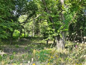 277 County Road 4461 - Photo 12
