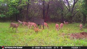 277 County Road 4461 - Photo 16