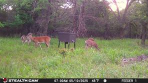 277 County Road 4461 - Photo 18