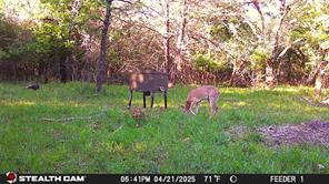 277 County Road 4461 - Photo 19