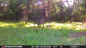 277 County Road 4461 - Photo 20