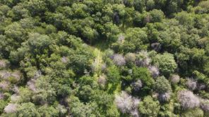 277 County Road 4461 - Photo 3