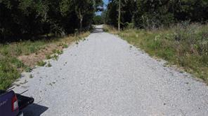 277 County Road 4461 - Photo 5