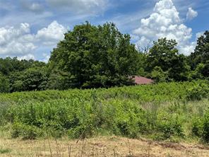 TBD County Road 3925 - Photo 13