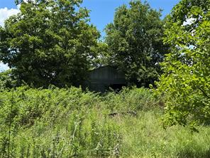 TBD County Road 3925 - Photo 14