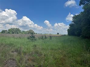 TBD County Road 3925 - Photo 2