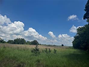 TBD County Road 3925 - Photo 4