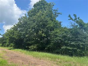 TBD County Road 3925 - Photo 5