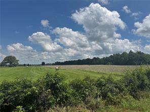 TBD County Road 3925 - Photo 6