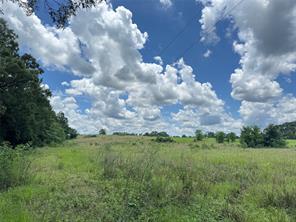 TBD County Road 3925 - Photo 8