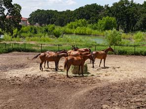 311 Martingale Trail - Photo 28