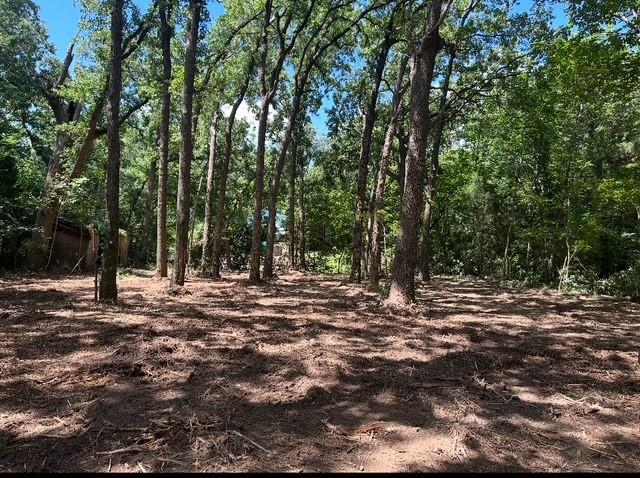 104 Red Bluff Loop - Photo 1
