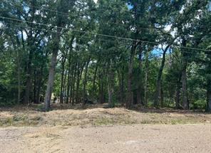 104 Red Bluff Loop - Photo 2