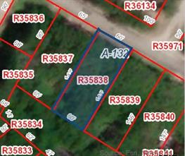 104 Red Bluff Loop - Photo 3