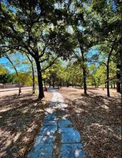 104 Red Bluff Loop - Photo 4