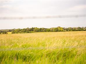 3600 Pleasant Valley Road - Photo 16