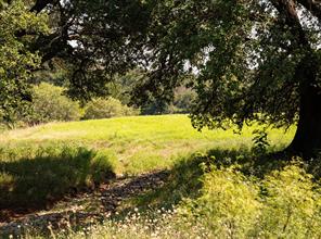2109 River Shoals Road - Photo 22