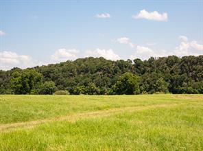 2105 River Shoals Road - Photo 19