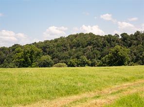 2105 River Shoals Road - Photo 21