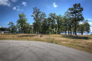 20609 Wycliff Drive - Photo 3