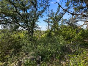 TBD Highway 281 - Photo 29