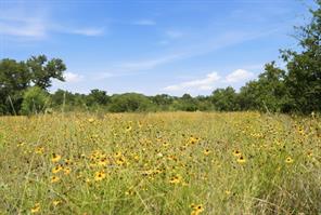 5230 County Road 409 - Photo 11