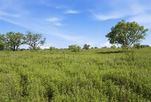 5230 County Road 409 - Photo 12