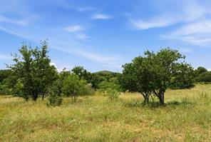 5230 County Road 409 - Photo 14