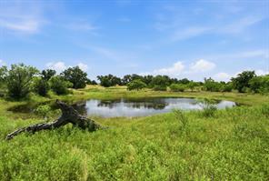 5230 County Road 409 - Photo 15