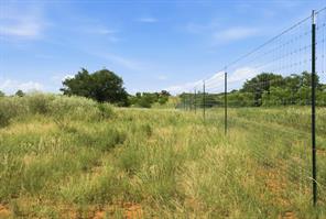 5230 County Road 409 - Photo 18