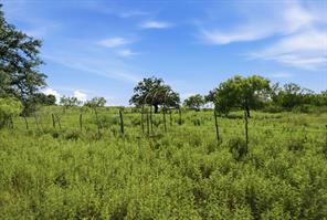 5230 County Road 409 - Photo 22